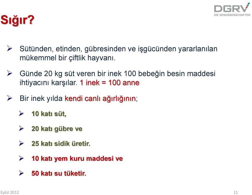 hayvanı. Günde 20 kg süt veren bir inek 100 bebeğin besin maddesi ihtiyacını karşılar.