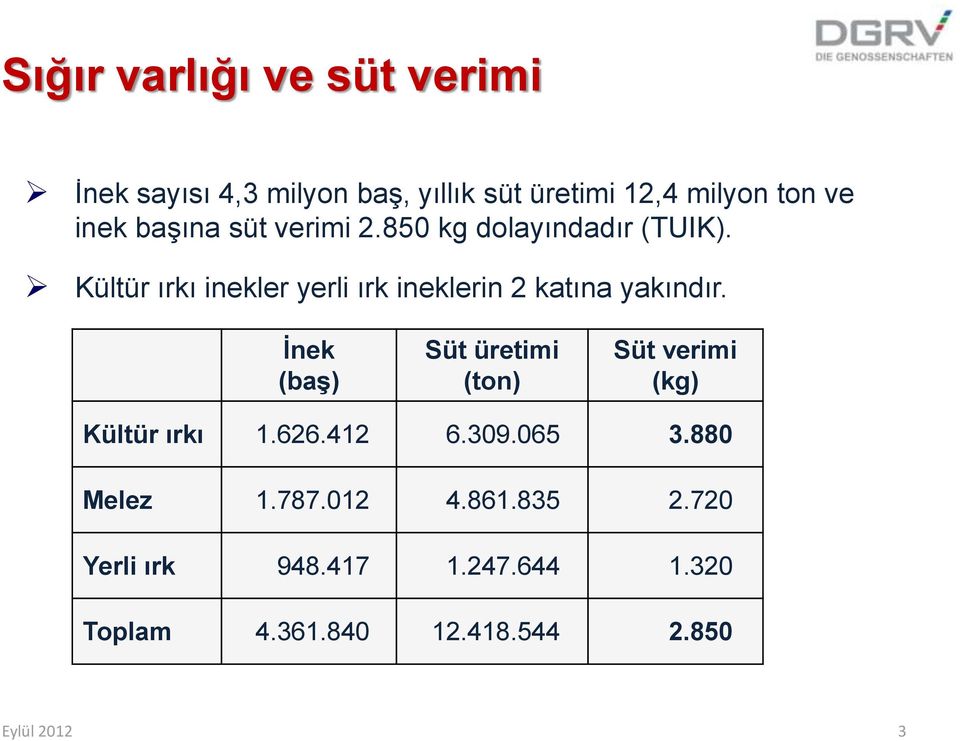 Kültür ırkı inekler yerli ırk ineklerin 2 katına yakındır.