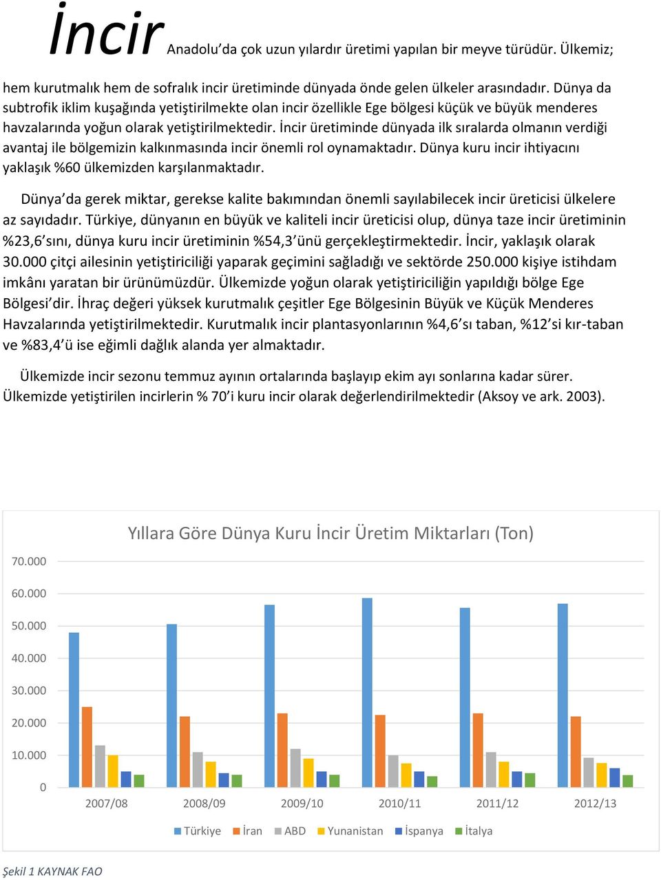 İncir üretiminde dünyada ilk sıralarda olmanın verdiği avantaj ile bölgemizin kalkınmasında incir önemli rol oynamaktadır. Dünya kuru incir ihtiyacını yaklaşık %60 ülkemizden karşılanmaktadır.