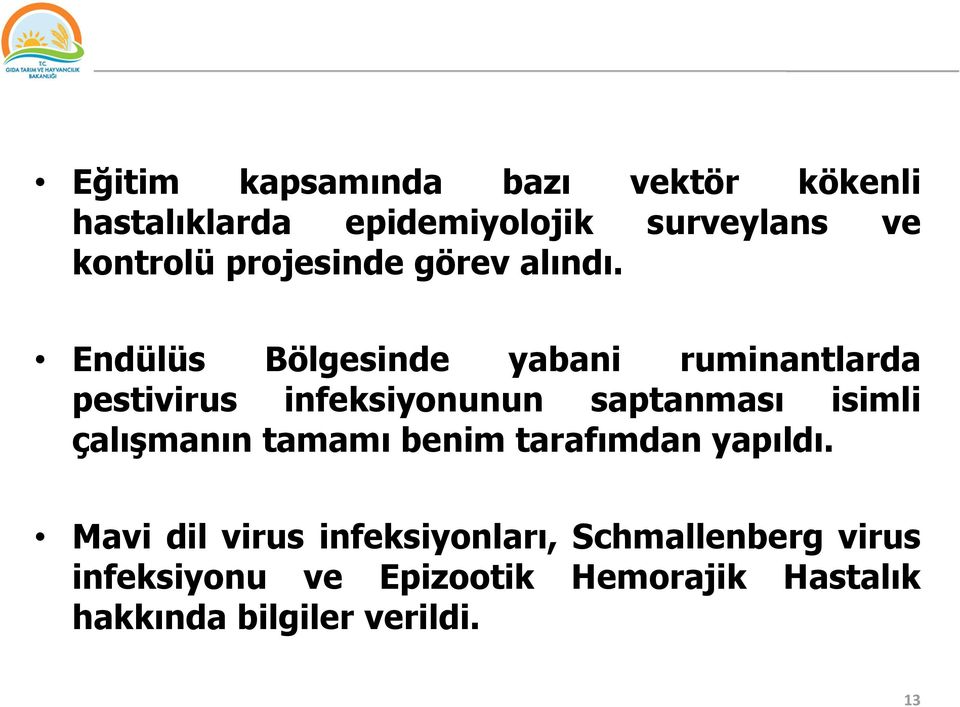 Endülüs Bölgesinde yabani ruminantlarda pestivirus infeksiyonunun saptanması isimli