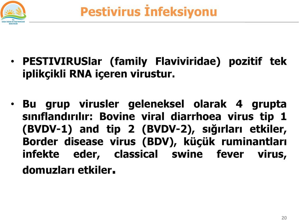 Bu grup virusler geleneksel olarak 4 grupta sınıflandırılır: Bovine viral diarrhoea virus