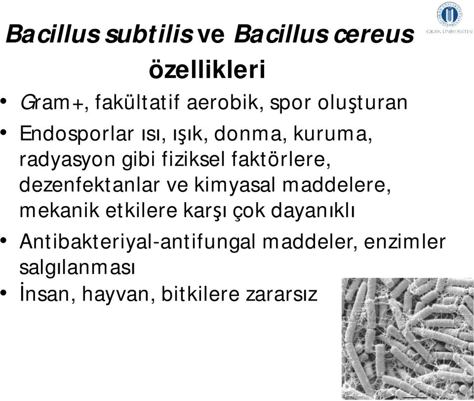 faktörlere, dezenfektanlar ve kimyasal maddelere, mekanik etkilere karşı çok