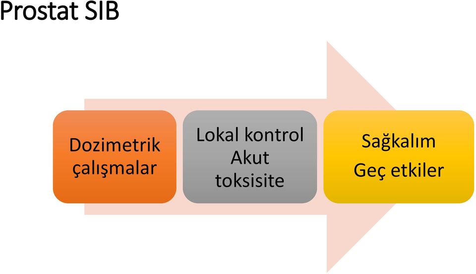 çalışmalar Lokal