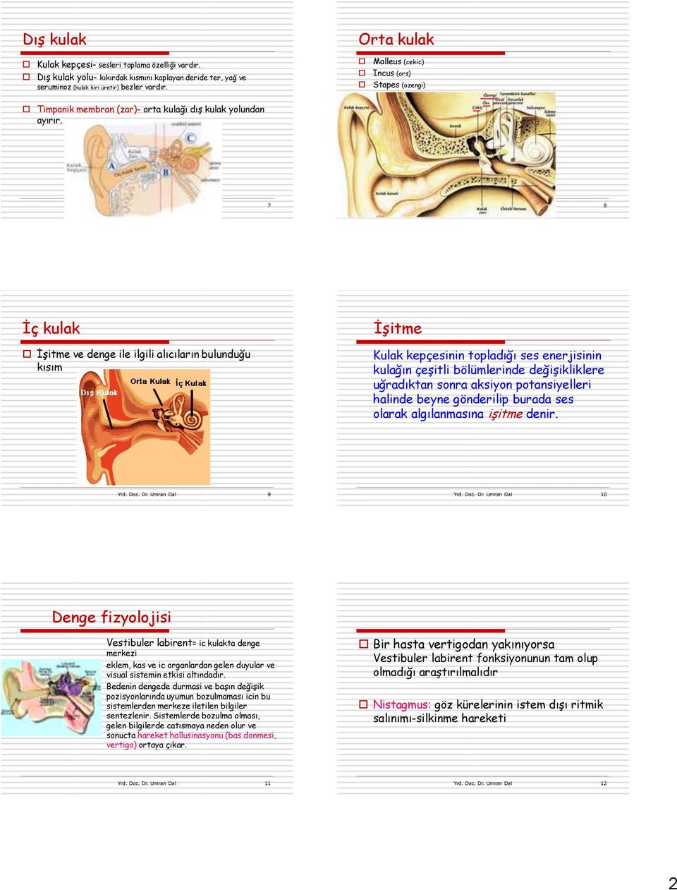 Umran Dal 7 Yrd. Doc. Dr.