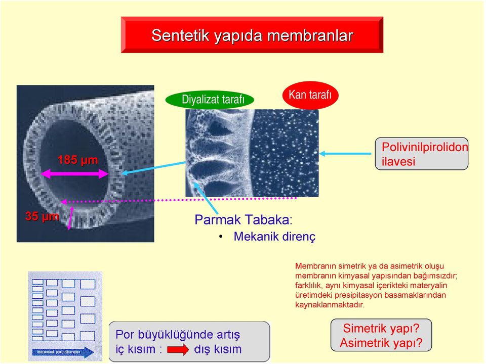 membranın kimyasal yapısından bağımsızdır; farklılık, aynı kimyasal içerikteki