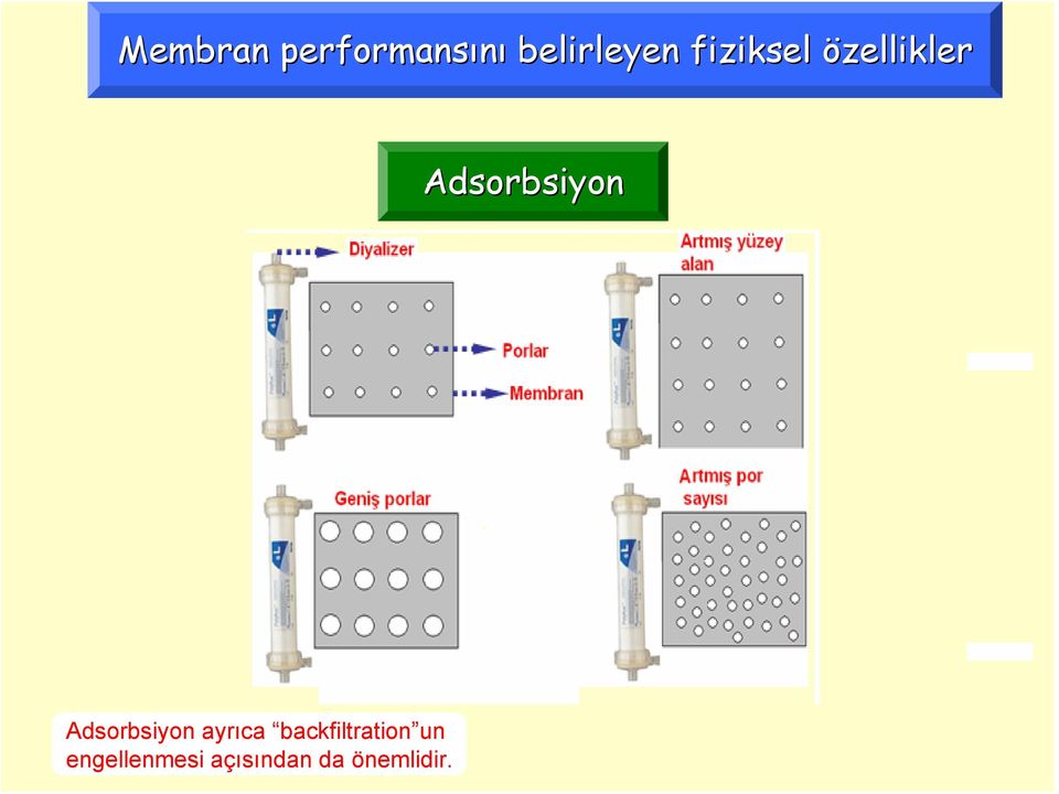 Adsorbsiyon ayrıca backfiltration