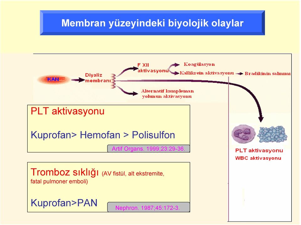 Kuprofan> Hemofan > Polisulfon Artif Organs.