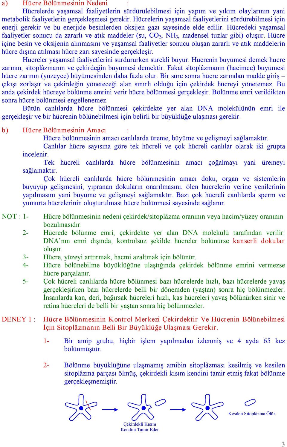 Hücredeki yaşamsal faaliyetler sonucu da zararlı ve atık maddeler (su, CO 2, NH 3, madensel tuzlar gibi) oluşur.