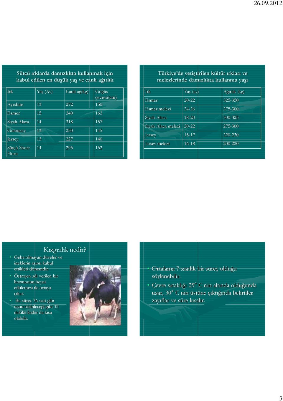 275-300 Siyah Alaca 18-20 300-325 Siyah Alaca melezi 20-22 275-300 Jersey 15-17 220-230 Jersey melezi 16-18 200-220 Kızgınlık nedir? Gebe olmayan düveler ve ineklerin aşımı kabul ettikleri dönemdir.
