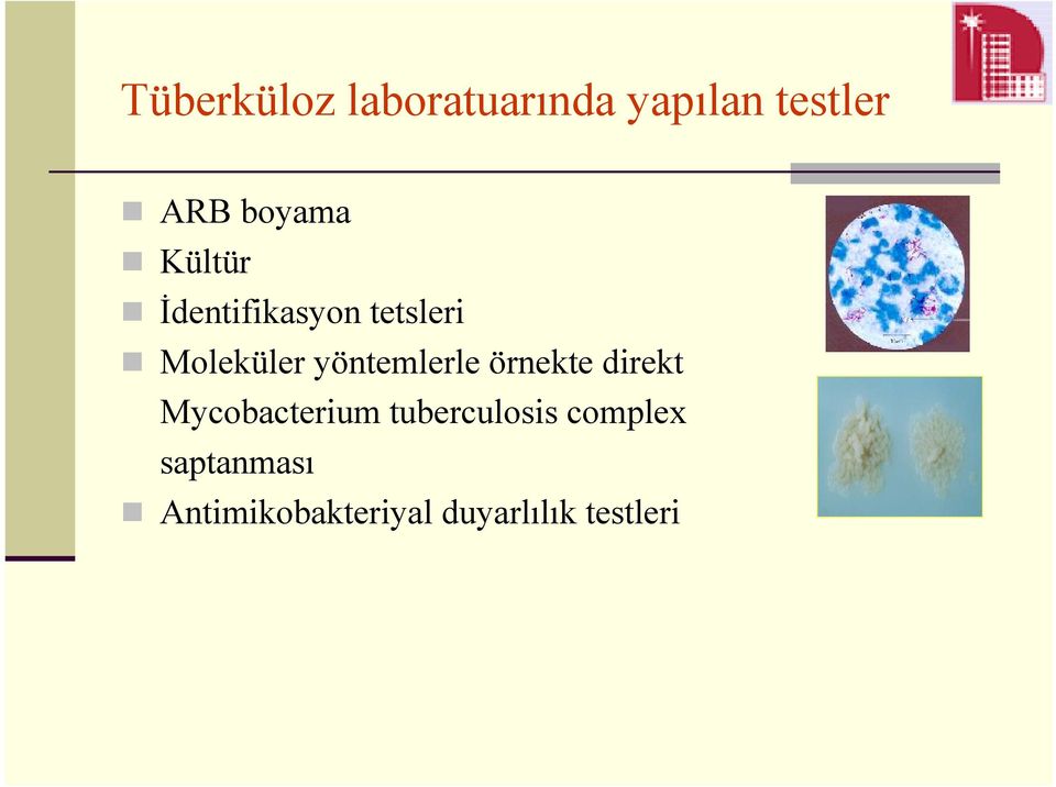 yöntemlerle örnekte direkt Mycobacterium