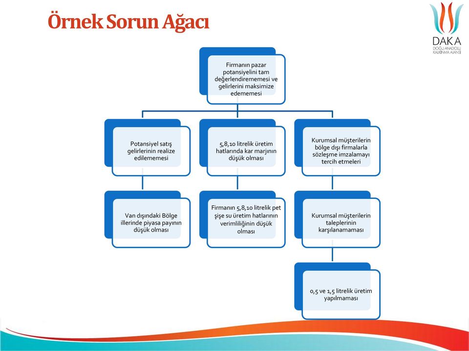 firmalarla sözleşme imzalamayı tercih etmeleri Van dışındaki Bölge illerinde piyasa payının düşük olması Firmanın 5,8,10 litrelik