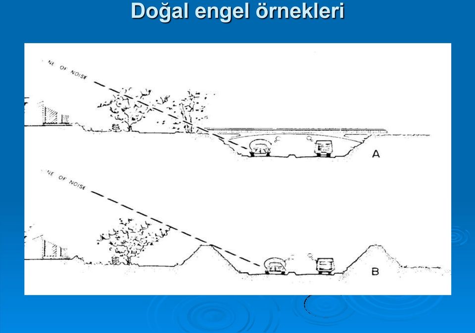 örnekleri