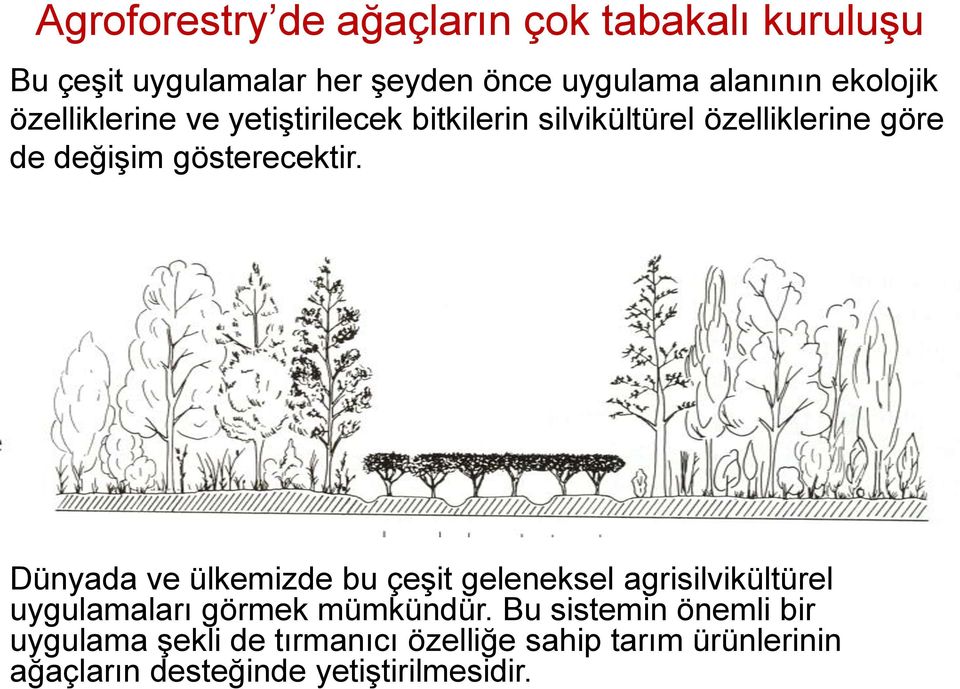 gösterecektir. Dünyada ve ülkemizde bu çeşit geleneksel agrisilvikültürel uygulamaları görmek mümkündür.