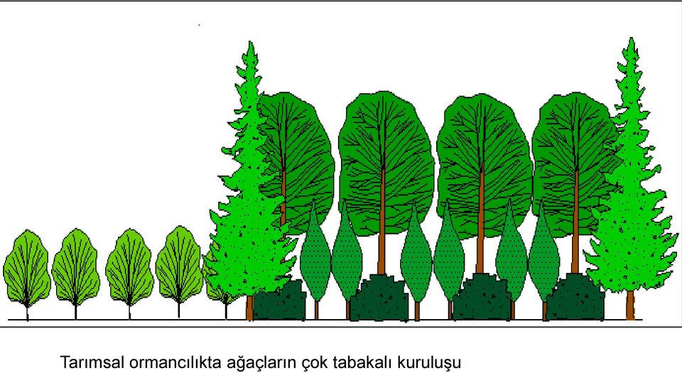 ağaçların çok