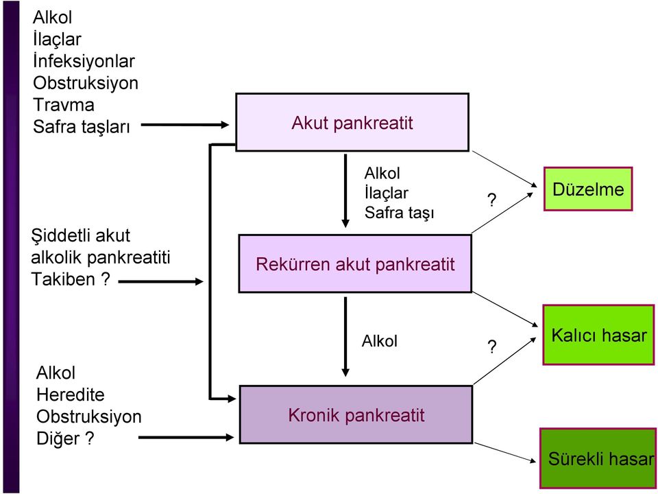 Alkol İlaçlar Safra taşı Rekürren akut pankreatit?