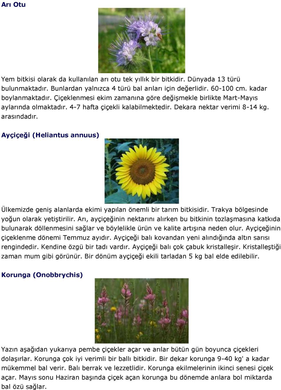 Ayçiçeği (Heliantus annuus) Ülkemizde geniş alanlarda ekimi yapılan önemli bir tarım bitkisidir. Trakya bölgesinde yoğun olarak yetiştirilir.