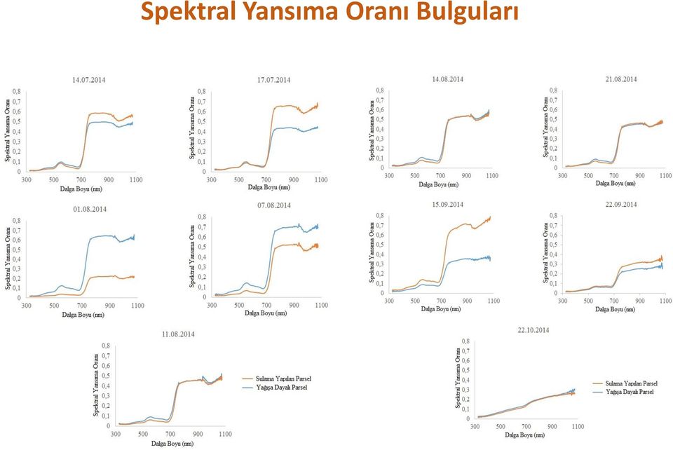 Oranı