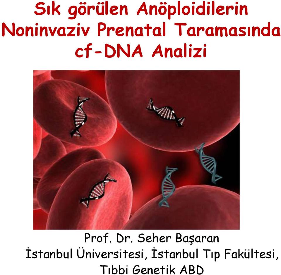 Dr. Seher Başaran İstanbul Üniversitesi,