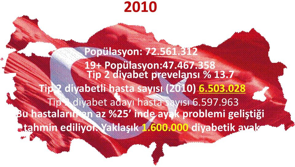 7 Tip 2 diyabetli hasta sayısı (2010) 6.503.