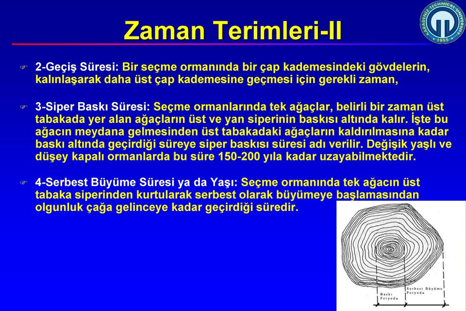 İşte bu ağacın meydana gelmesinden üst tabakadaki ağaçların kaldırılmasına kadar baskı altında geçirdiği süreye siper baskısı süresi adı verilir.