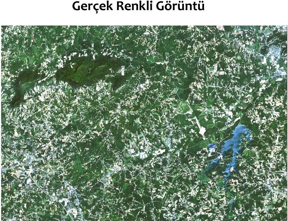 Görüntü Doç.