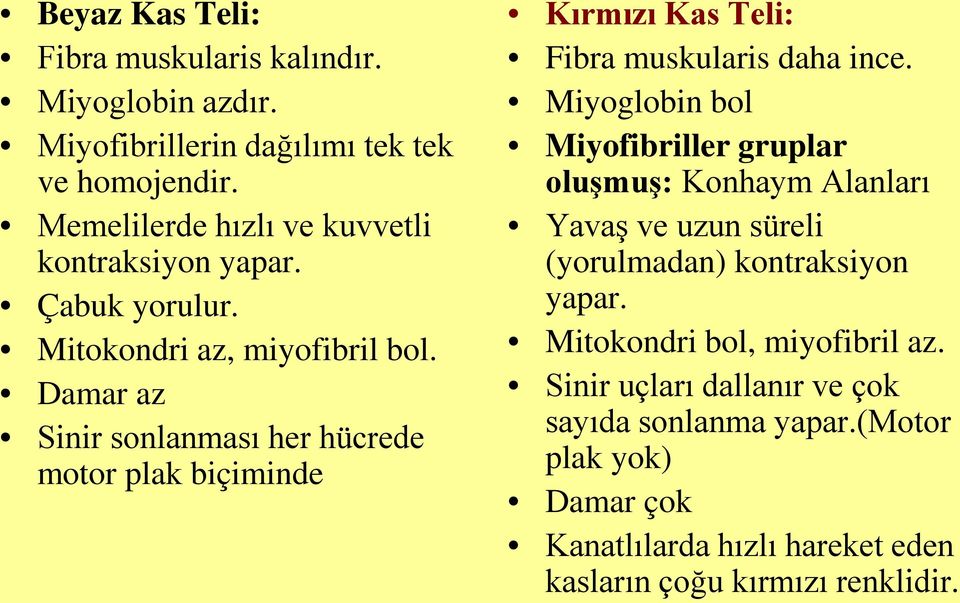 Damar az Sinir sonlanması her hücrede motor plak biçiminde Kırmızı Kas Teli: Fibra muskularis daha ince.