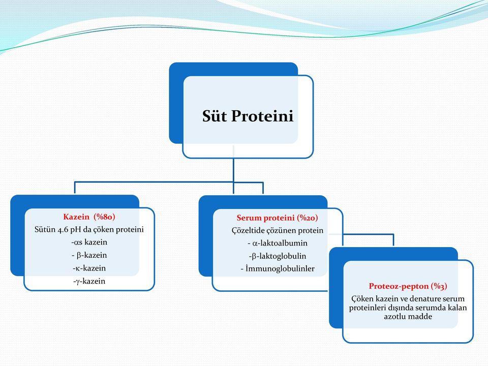 proteini (%20) Çözeltide çözünen protein - -laktoalbumin - -laktoglobulin