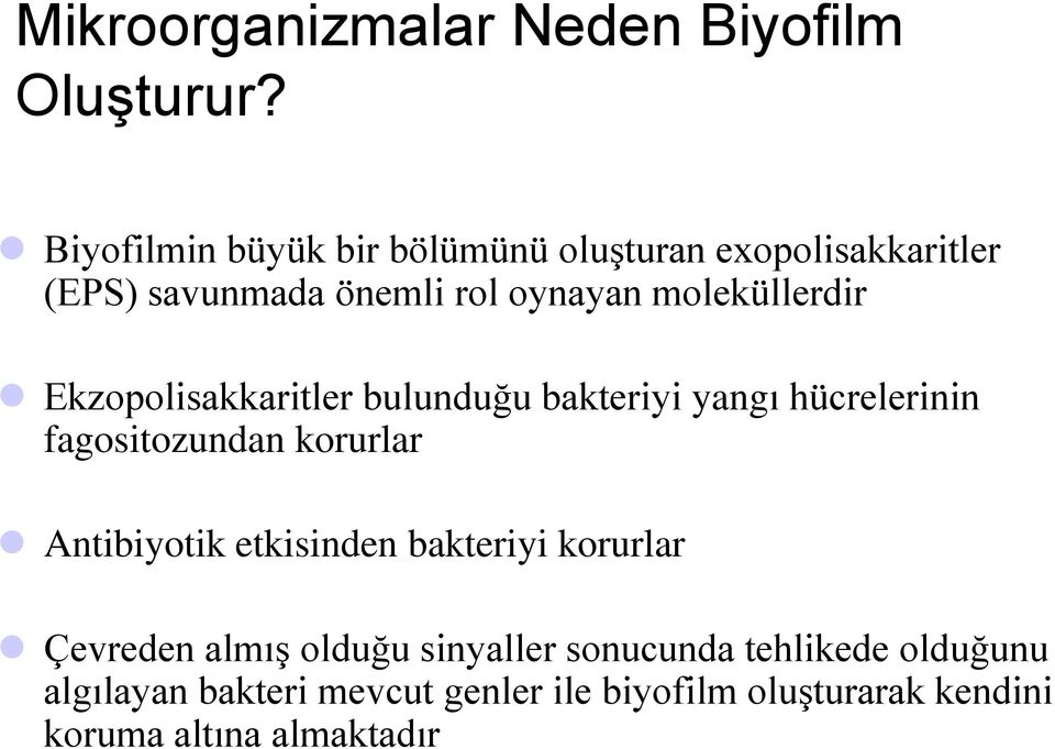 moleküllerdir Ekzopolisakkaritler bulunduğu bakteriyi yangı hücrelerinin fagositozundan korurlar