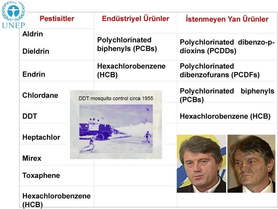 Polychlorinated dibenzo-pdioxins (PCDDs) Polychlorinated dibenzofurans (PCDFs)