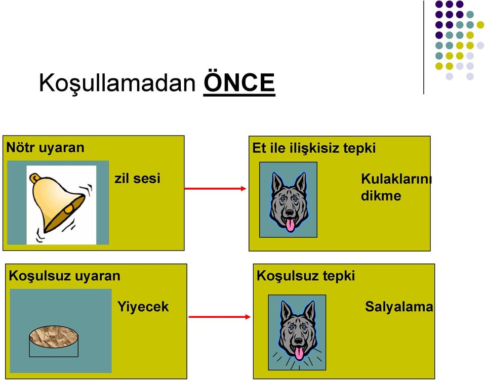 Kulaklarını dikme Koşulsuz