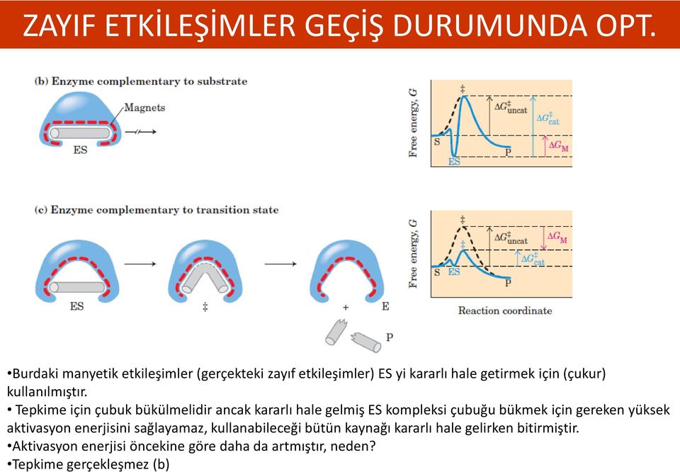 kullanılmıştır.