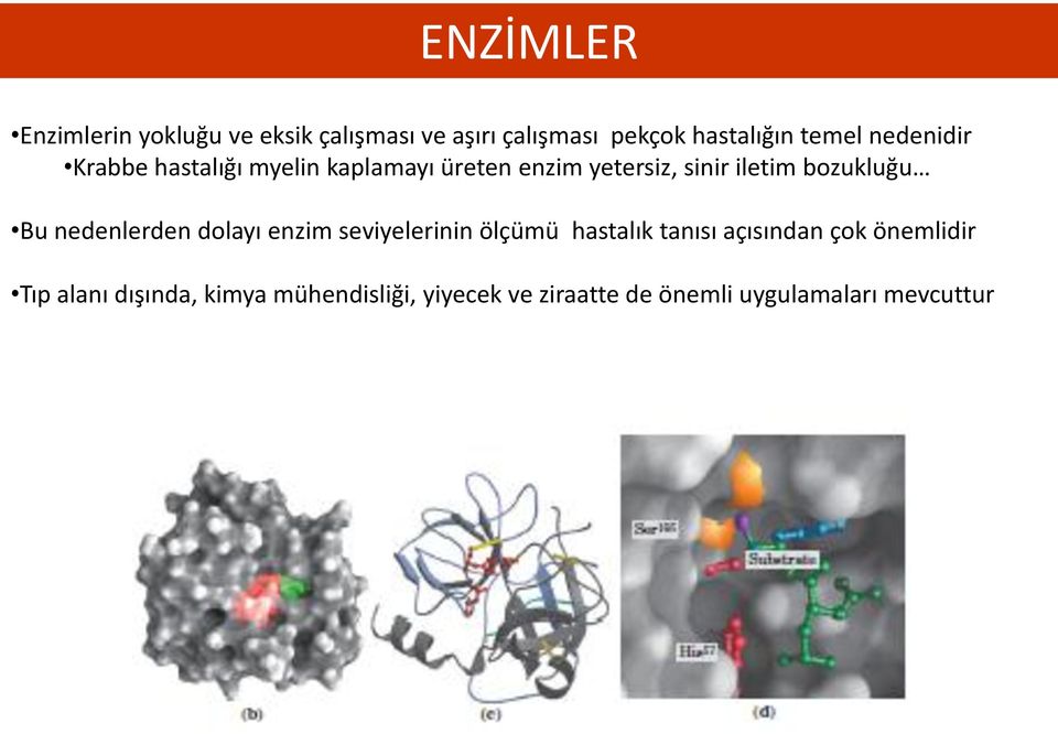 Bu nedenlerden dolayı enzim seviyelerinin ölçümü hastalık tanısı açısından çok önemlidir