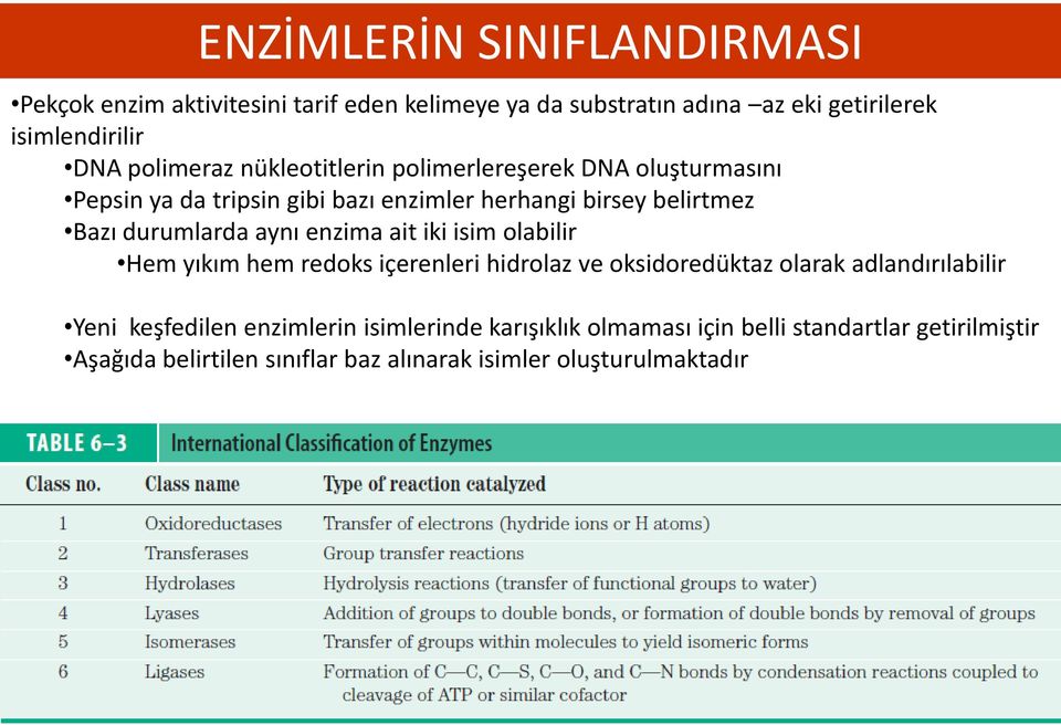 durumlarda aynı enzima ait iki isim olabilir Hem yıkım hem redoks içerenleri hidrolaz ve oksidoredüktaz olarak adlandırılabilir Yeni