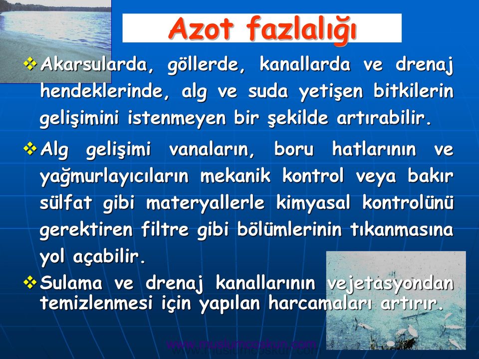 Alg gelişimi vanaların, boru hatlarının ve yağmurlayıcıların mekanik kontrol veya bakır sülfat gibi