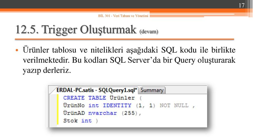 ve nitelikleri aşağıdaki SQL kodu ile