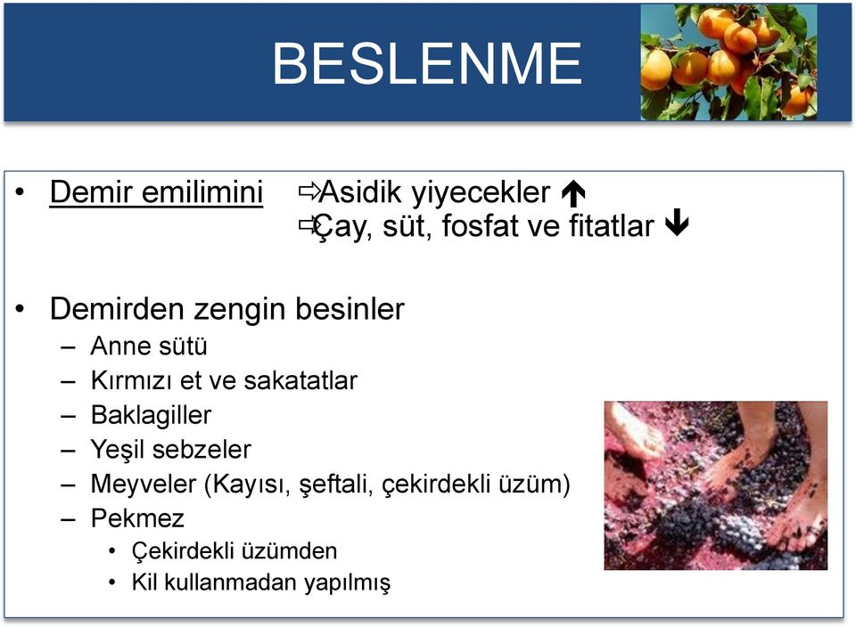 sakatatlar Baklagiller Yeşil sebzeler Meyveler (Kayısı,