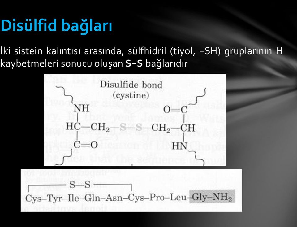 (tiyol, SH) gruplarının H