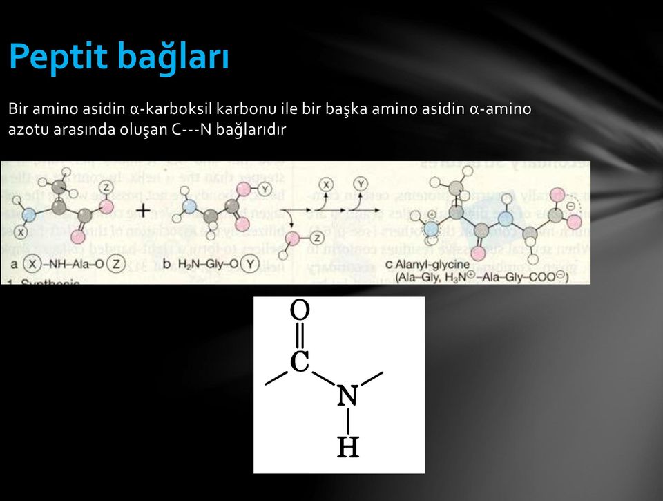 başka amino asidin α-amino