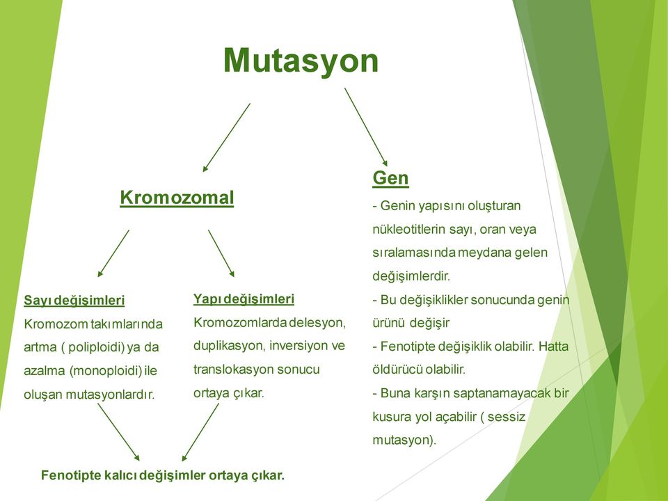 Gen - Genin yapısını oluşturan nükleotitlerin sayı, oran veya sıralamasında meydana gelen değişimlerdir.