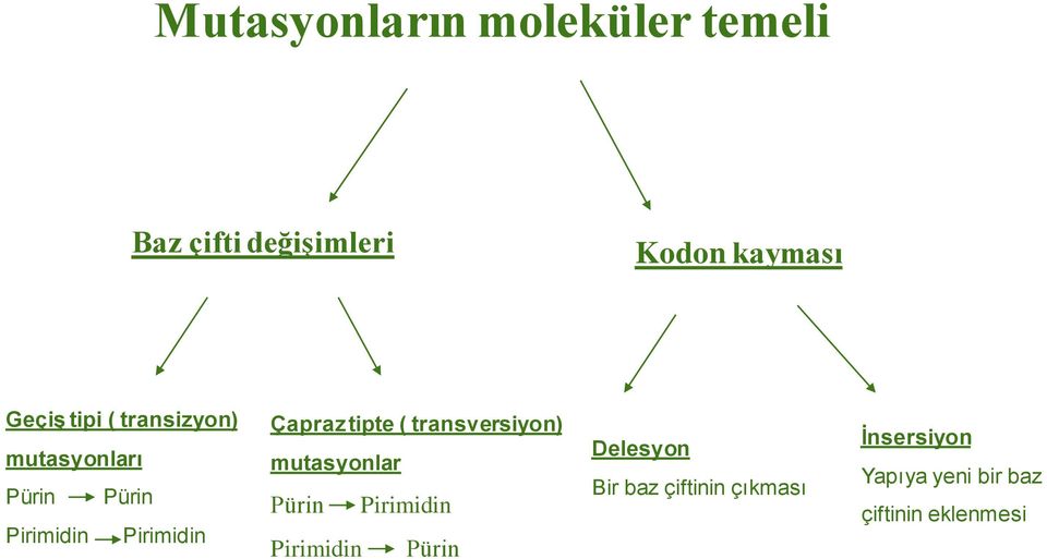 tipte ( transversiyon) mutasyonlar Pürin Pirimidin Pirimidin Pürin