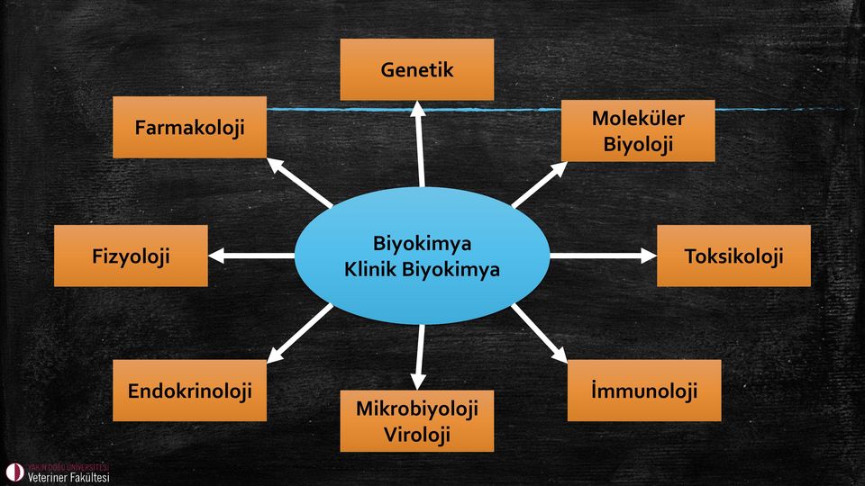 Klinik Biyokimya Toksikoloji