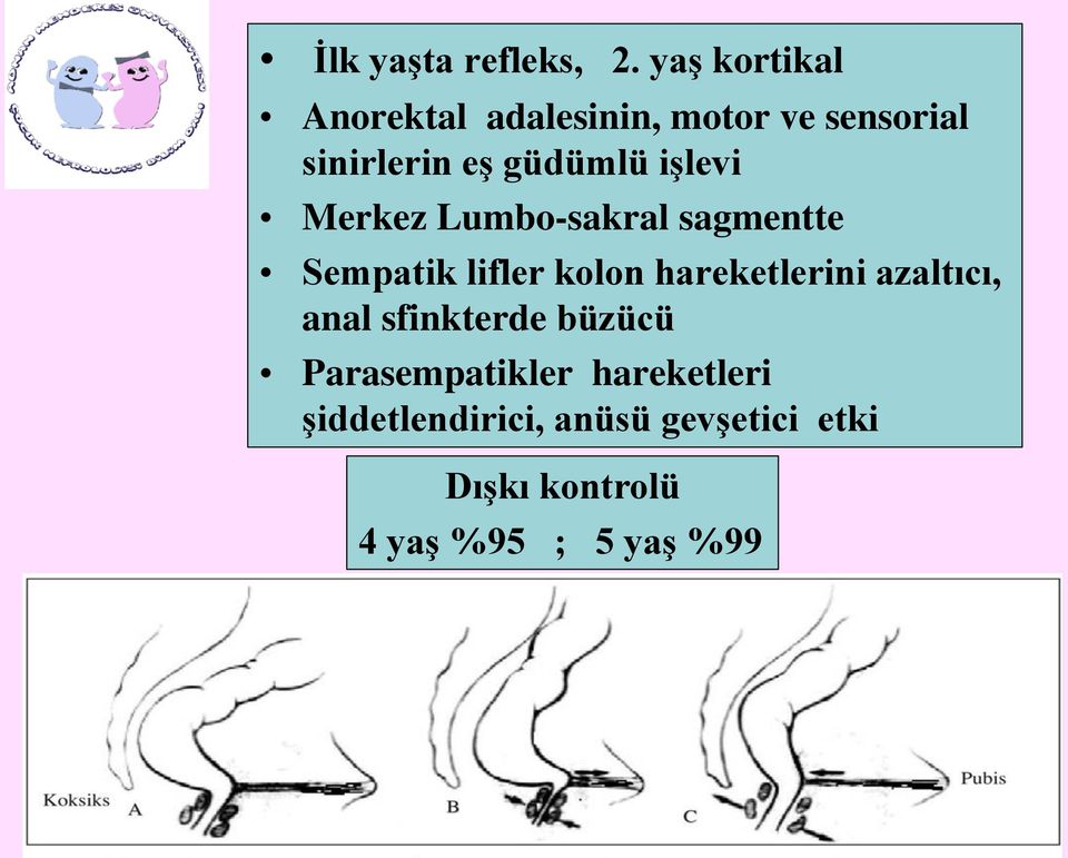 işlevi Merkez Lumbo-sakral sagmentte Sempatik lifler kolon hareketlerini