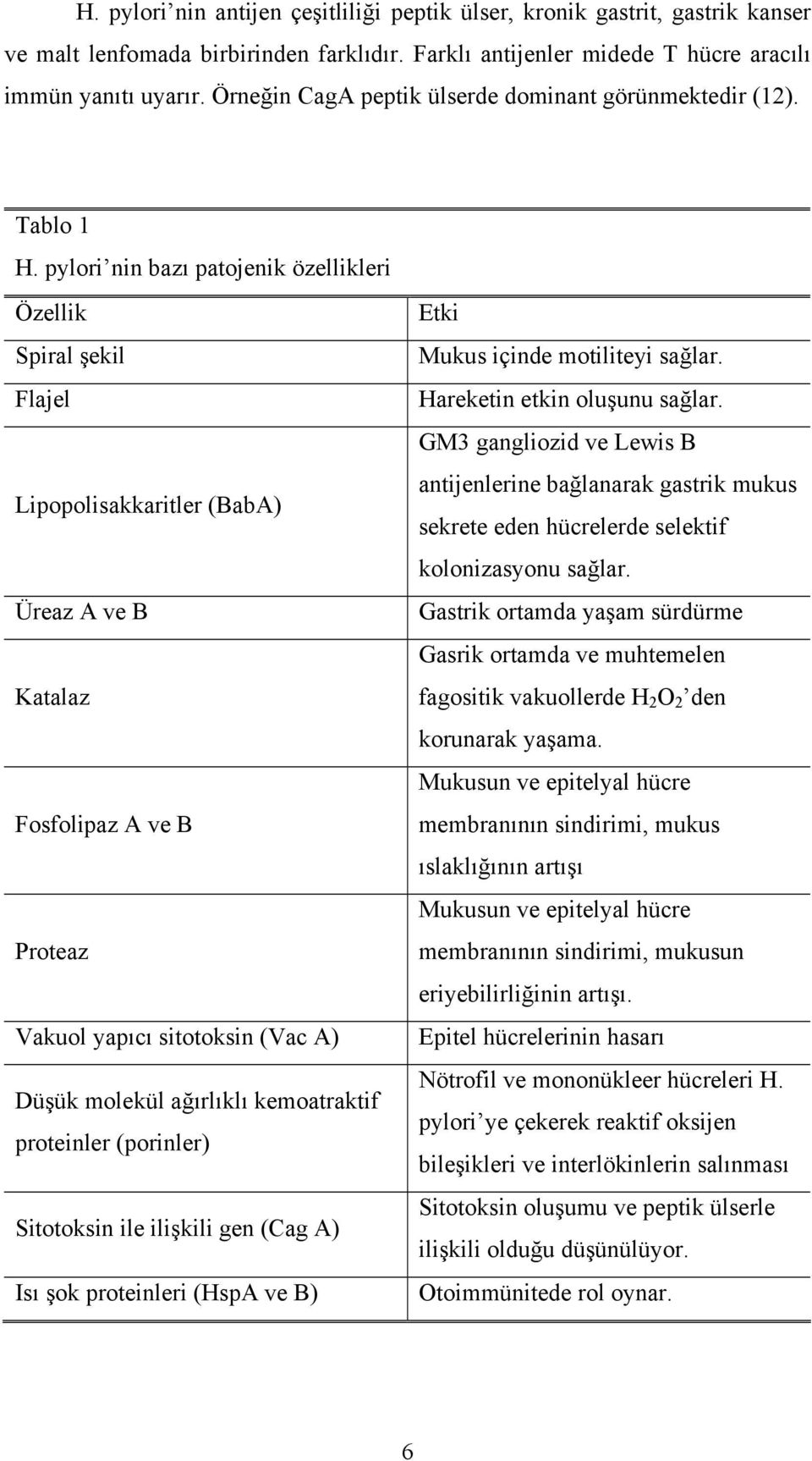 pylori nin bazı patojenik özellikleri Özellik Spiral şekil Flajel Lipopolisakkaritler (BabA) Üreaz A ve B Katalaz Fosfolipaz A ve B Proteaz Vakuol yapıcı sitotoksin (Vac A) Düşük molekül ağırlıklı