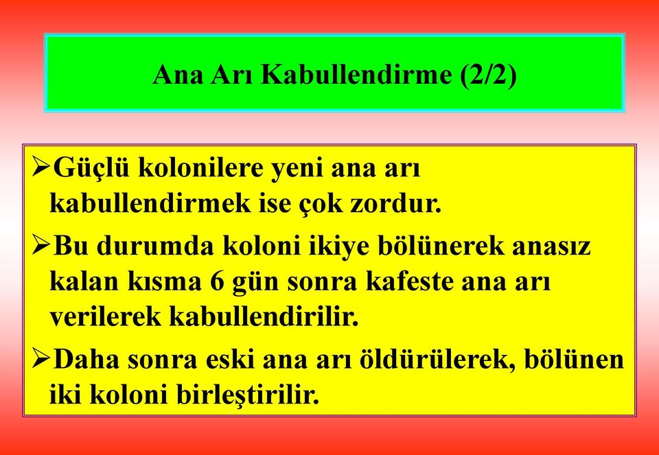 Bu durumda koloni ikiye bölünerek anasız kalan kısma 6 gün sonra