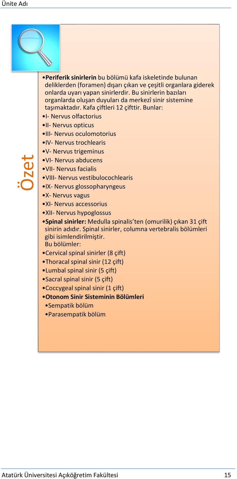 Bunlar: I- Nervus olfactorius II- Nervus opticus III- Nervus oculomotorius IV- Nervus trochlearis V- Nervus trigeminus VI- Nervus abducens VII- Nervus facialis VIII- Nervus vestibulocochlearis IX-