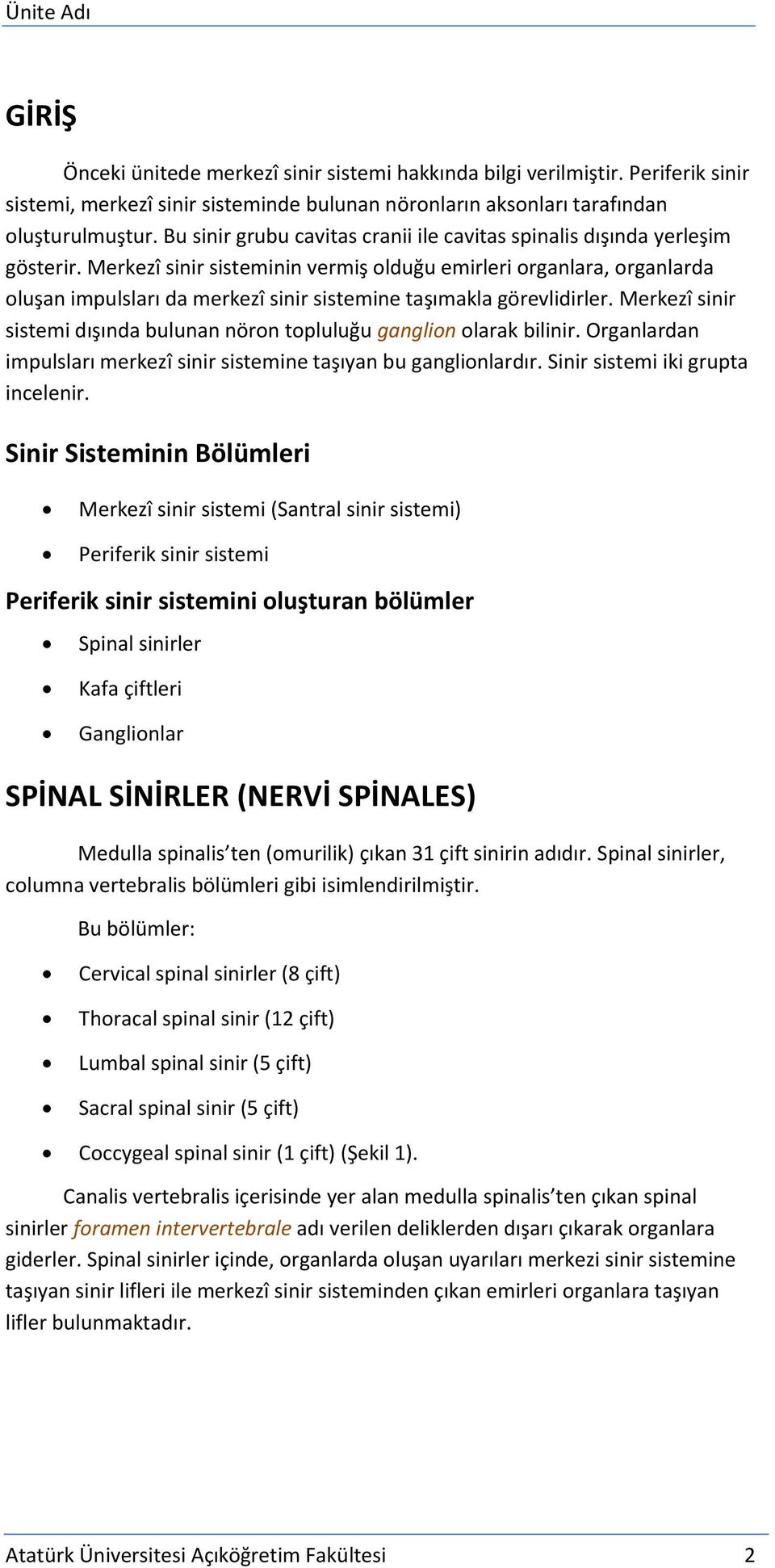 Merkezî sinir sisteminin vermiş olduğu emirleri organlara, organlarda oluşan impulsları da merkezî sinir sistemine taşımakla görevlidirler.