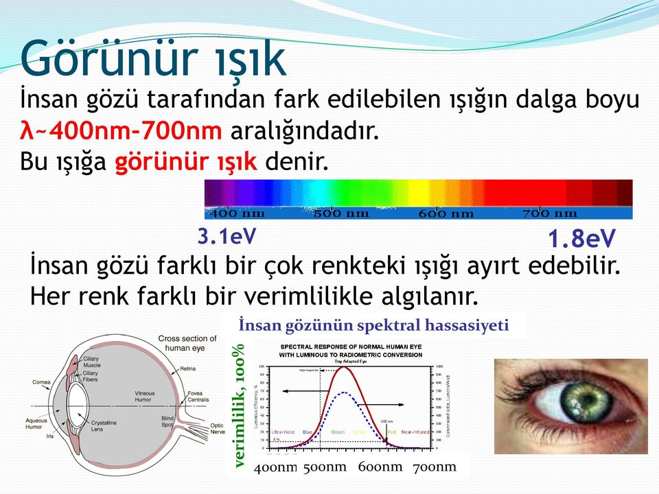 8eV İnsan gözü farklı bir çok renkteki ışığı ayırt edebilir.