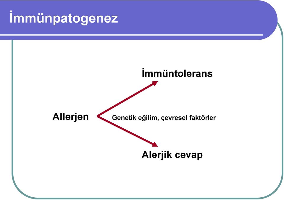 Allerjen Genetik