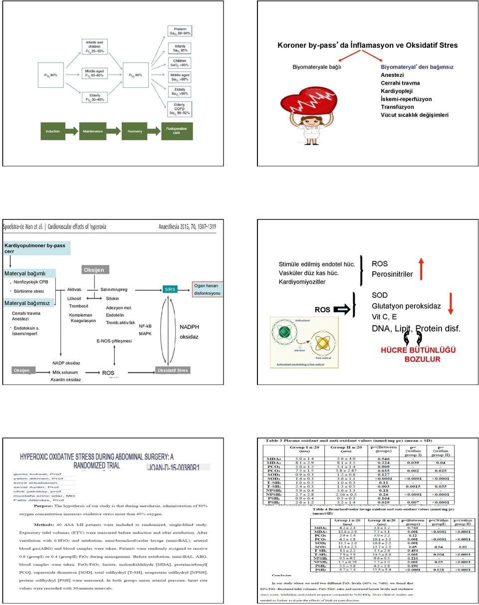 on Lökosit Trombosit NADP oksidaz Oksijen Kompleman Koagulasyon Salınım/upreg Sitokin Adezyon mol. Endotelin Tromb.aktiv.