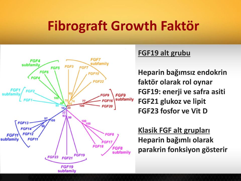 asiti FGF21 glukoz ve lipit FGF23 fosfor ve Vit D Klasik